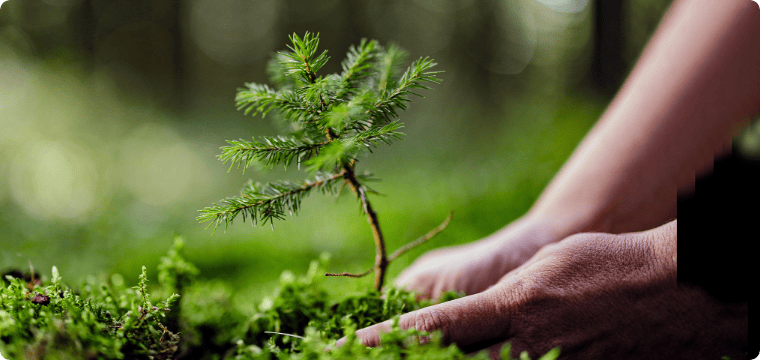 Environmental Initiatives