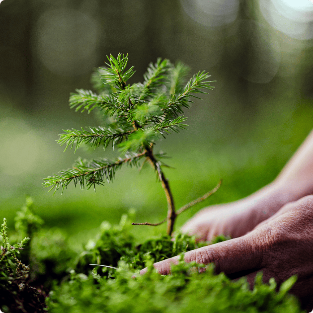 Environmental Initiatives