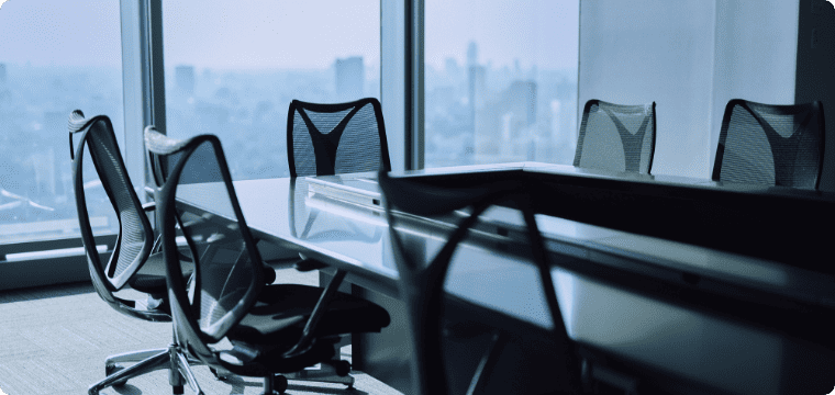 Information about executives